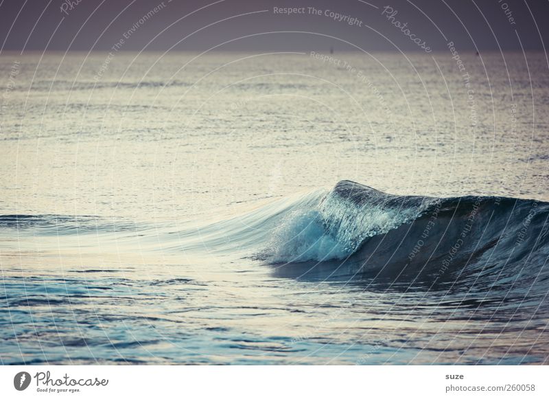 Ostseewellchen Wellen Umwelt Natur Landschaft Urelemente Wasser Horizont Wetter Küste kalt wild blau grau Wasseroberfläche Strukturen & Formen Farbfoto