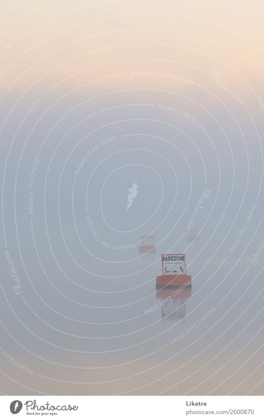 Endloser Sommer Ferien & Urlaub & Reisen Tourismus Schwimmen & Baden Natur Wasser Sonnenaufgang Sonnenuntergang Herbst Nebel Strand See Boje
