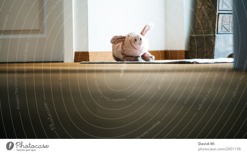 mein Kuscheltier Spielen Häusliches Leben Wohnung Kinderzimmer Kindererziehung Mensch Baby Kindheit Kunst beobachten Stofftiere Tier Ferkel niedlich spionieren