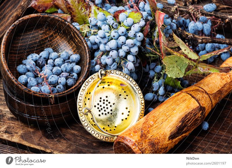 Beeren in der Kräutermedizin Medizin Gesundheit Kraut natürlich Pflanze Kräuterbuch Natur medizinisch Geißblatt organisch frisch alternativ Blatt grün