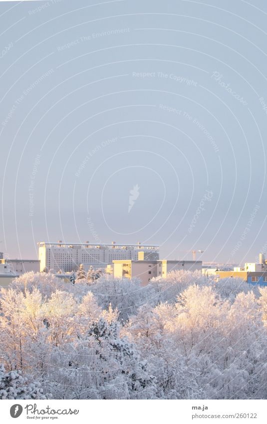 Am Fenster 2 Wolkenloser Himmel Winter Schönes Wetter Schnee Stadt kalt blau gelb weiß Farbfoto Gedeckte Farben Außenaufnahme Menschenleer Textfreiraum oben