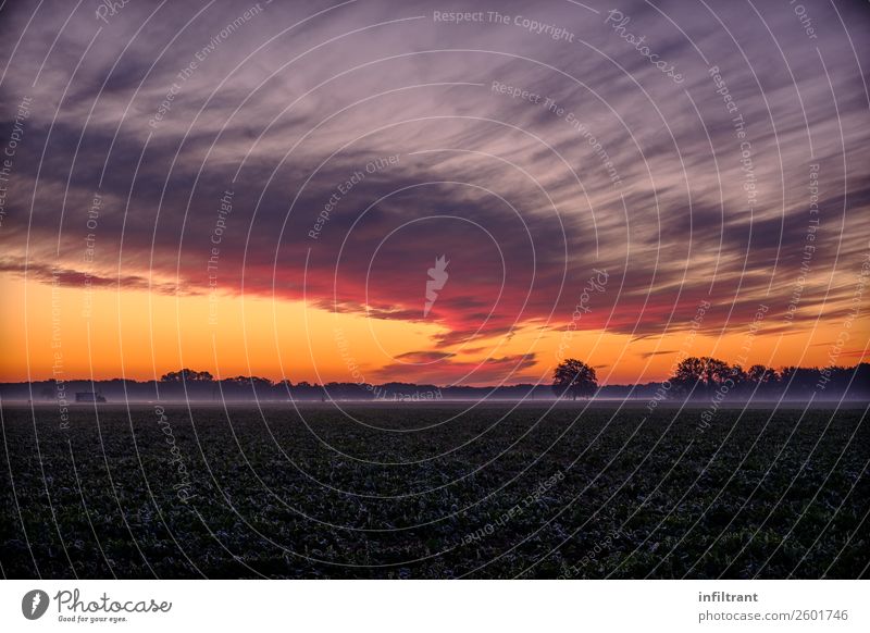 bunter Herbstmorgen Natur Landschaft Himmel Wolken Horizont Sonnenaufgang Sonnenuntergang Nebel Feld Wald ästhetisch natürlich gelb violett orange rot schwarz