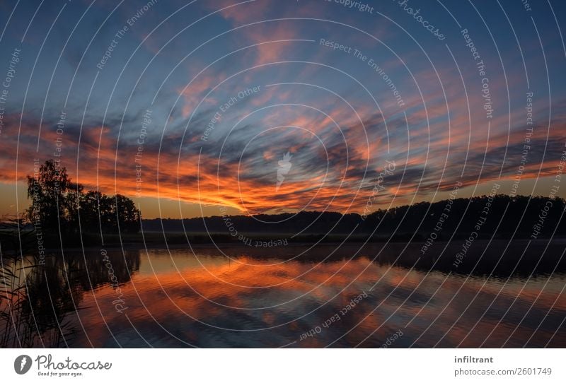 Sonnenaufgang über dem See Umwelt Natur Landschaft Wasser Himmel Wolken Sonnenuntergang Herbst Schönes Wetter Wald Seeufer ästhetisch natürlich blau gelb orange