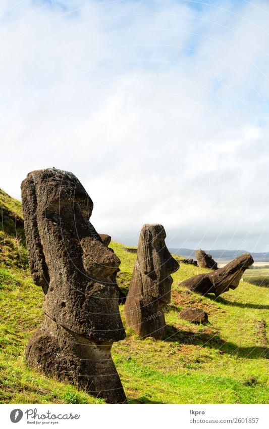 mysteriuuos muai statue symbol einer alten kultur Gesicht Ferien & Urlaub & Reisen Insel Ostern Kunst Kultur Natur Park Felsen Denkmal Stein historisch