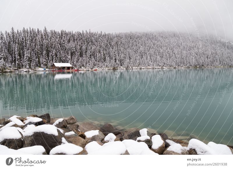 Paddelwetter? Ferien & Urlaub & Reisen Tourismus Ausflug Abenteuer Winter Schnee Winterurlaub Natur Landschaft Nebel Wald Felsen Seeufer Lake Luise Hütte