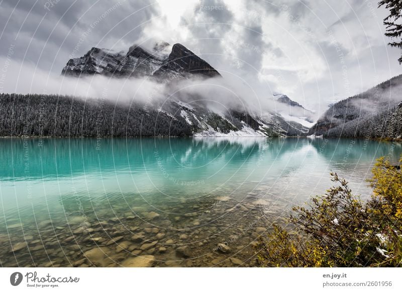 Lake Louise Ferien & Urlaub & Reisen Ausflug Abenteuer Freiheit Natur Landschaft Wolken Nebel Berge u. Gebirge Rocky Mountains Seeufer Lake Luise Erholung