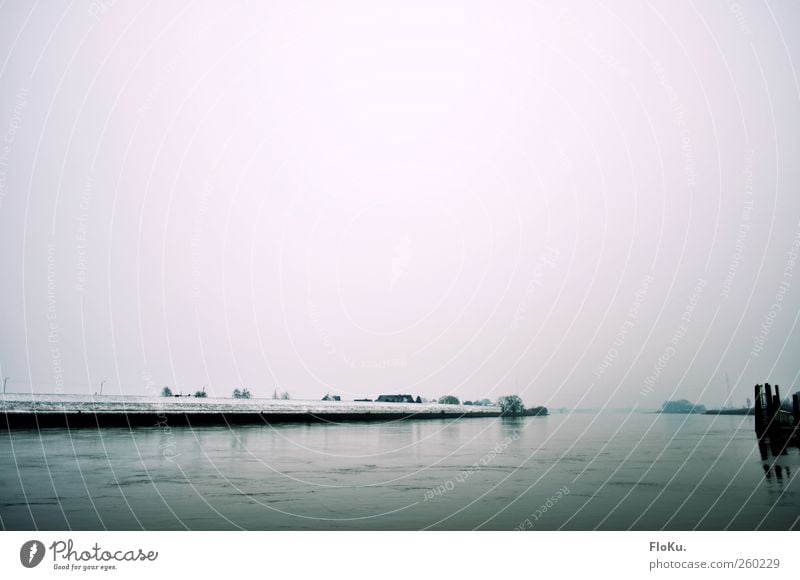 Erster Schnee an der Elbe Umwelt Natur Landschaft Wasser Winter schlechtes Wetter Nebel Eis Frost Küste Flussufer kalt trist blau grau weiß Hamburg moorwerder