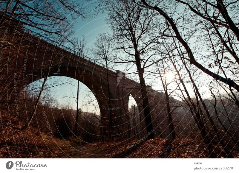 Brücke* Umwelt Natur Landschaft Himmel Herbst Klima Wetter Schönes Wetter Baum Wald Bauwerk Sehenswürdigkeit Wahrzeichen Wege & Pfade dunkel Stimmung Einsamkeit