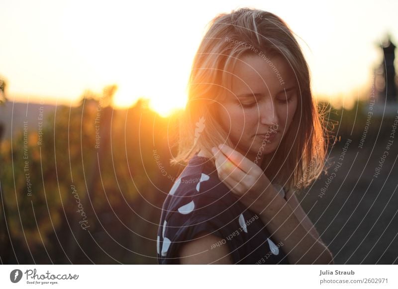 Weinberg Sonnenuntergang Frau feminin Erwachsene 1 Mensch 18-30 Jahre Jugendliche Natur Sommer Schönes Wetter Hügel Volkach T-Shirt brünett blond kurzhaarig