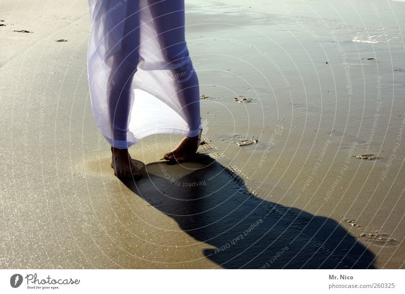 wenn jetzt sommer wär Wellness Wohlgefühl Zufriedenheit Ferien & Urlaub & Reisen Sommer Sommerurlaub Strand feminin Junge Frau Jugendliche Beine Fuß Umwelt Sand