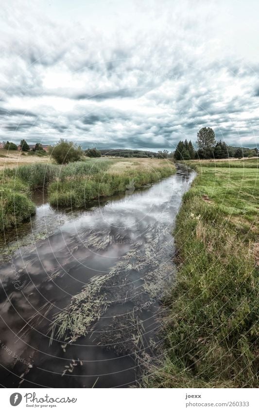 Der Garten Umwelt Landschaft Wasser Himmel Wolken Horizont Sommer Klima Wetter Schönes Wetter Feld Bach schön blau grün schwarz weiß ruhig Idylle Farbfoto