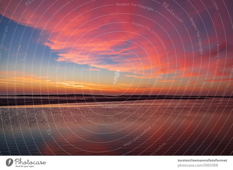 Sonnenuntergang im Wattenmeer Natur Sand Wasser Himmel Wolken Horizont Sonnenaufgang Herbst Wetter Schönes Wetter Wellen Küste Seeufer Strand Nordsee Meer