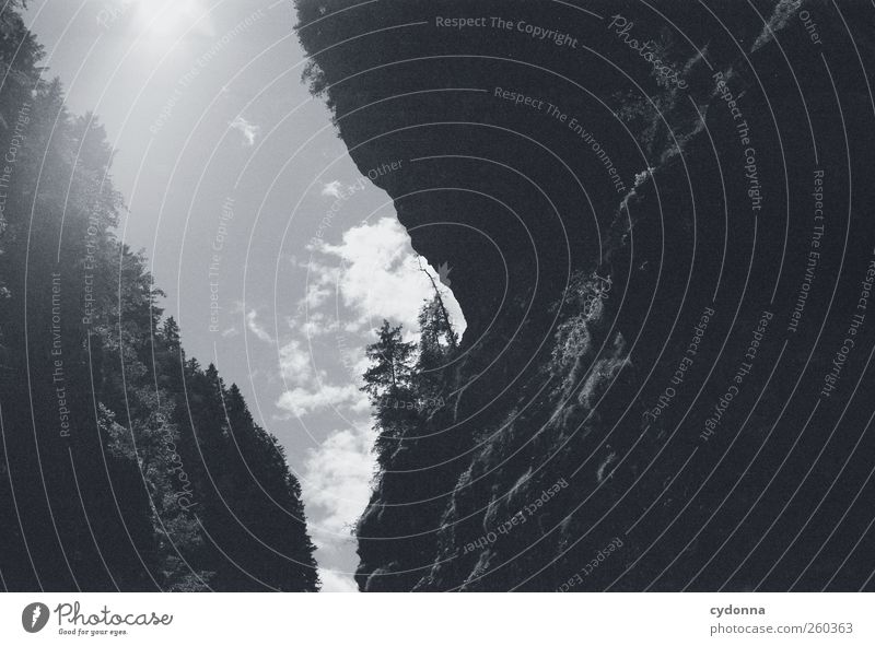 Im tiefen Tal Umwelt Natur Landschaft Himmel Sonnenlicht Sommer Schönes Wetter Baum Felsen Berge u. Gebirge Schlucht Abenteuer ästhetisch einzigartig entdecken