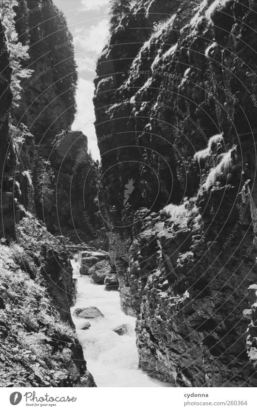 wilde Natur Umwelt Landschaft Wasser Sommer Schönes Wetter Felsen Berge u. Gebirge Schlucht Fluss einzigartig Idylle Leben ruhig schön träumen Umweltschutz