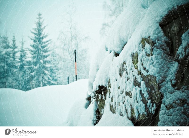 winterliche straßenverhältnisse Landschaft Winter Klima Wetter schlechtes Wetter Unwetter Eis Frost Schnee Schneefall Baum Felsen Alpen Verkehrswege Straße