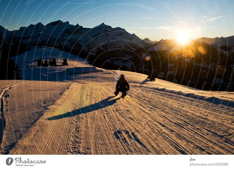 Fahrt im Abendrot Leben Zufriedenheit Winter Schnee Winterurlaub Berge u. Gebirge Sport Wintersport Sportler Schlitten Skibock Schlittelweg Mensch Junge Frau