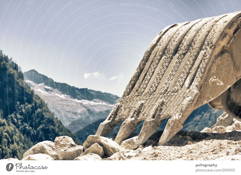 anbaggern... Umwelt Natur Landschaft Erde Sand Himmel Wolkenloser Himmel Sommer Schönes Wetter Schnee Baum Wildpflanze Hügel Felsen Alpen Berge u. Gebirge