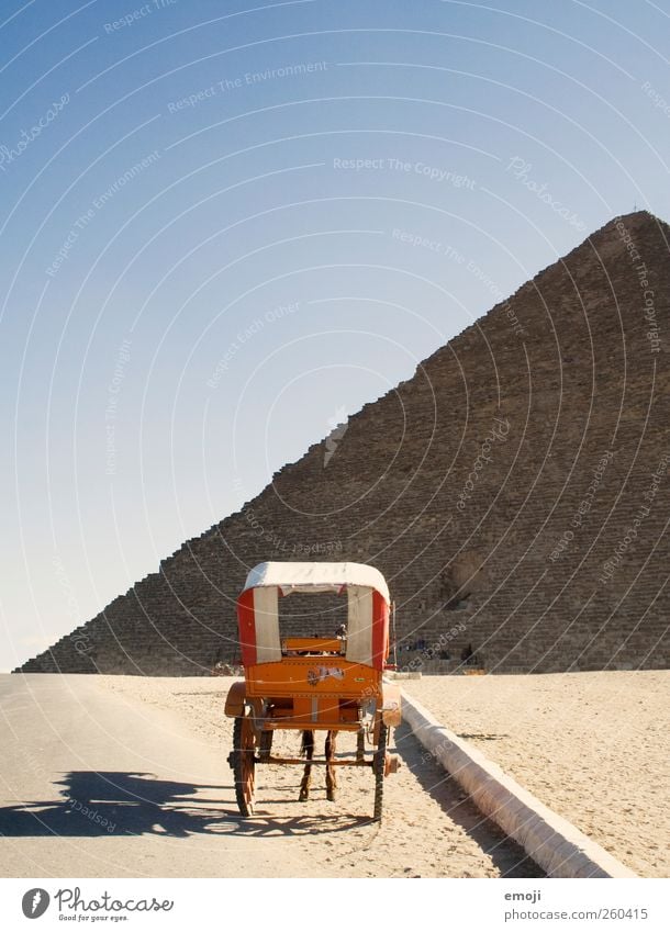 Kutsche mit Beinen Umwelt Natur Landschaft Himmel Wolkenloser Himmel Dürre Wüste Tier Nutztier Pferd 1 außergewöhnlich kutsche kutschieren Pyramide Farbfoto