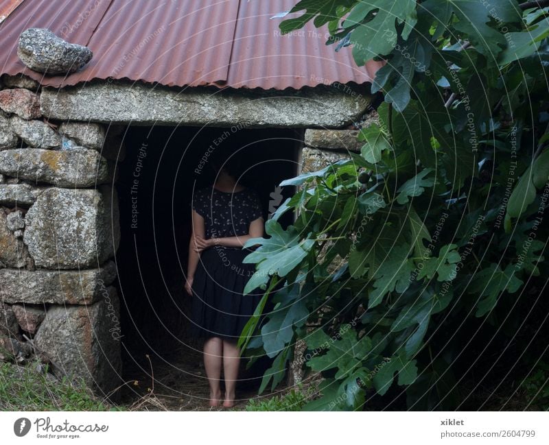 Baumfrau Frau Erwachsene Körper 1 Mensch Natur Pflanze Nutzpflanze Garten Dorf Altstadt Haus Ruine Mauer Wand Tür Stein Holz frieren genießen Armut fest