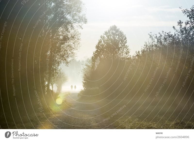 Hikers in the morning mist Natur Fitness laufen Leben Beginn Sunbeams copy space dust field glitter haze hiking landscape lane light Misthaufen misty