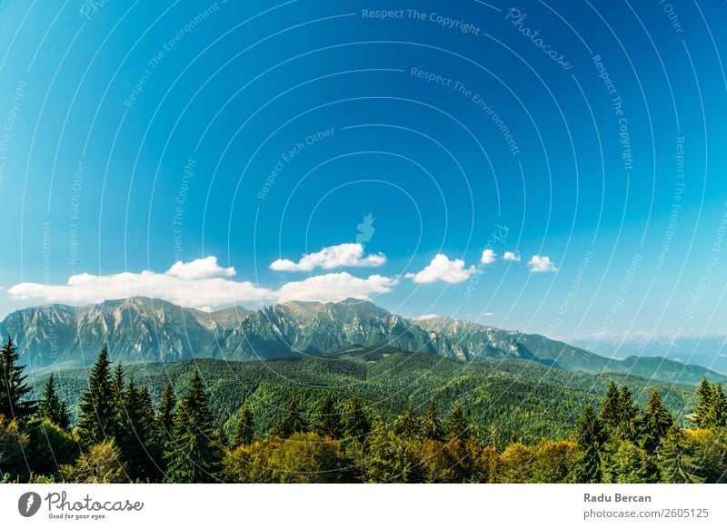 Karpatenlandschaft in Rumänien Berge u. Gebirge Landschaft schön Natur Wald Panorama (Bildformat) Himmel grün Aussicht Ferien & Urlaub & Reisen Hintergrundbild