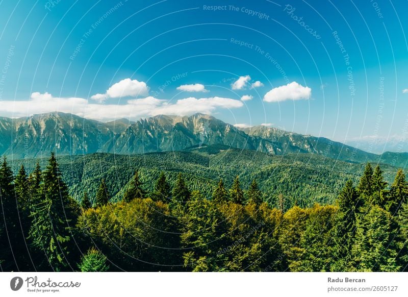 Karpatenlandschaft in Rumänien Berge u. Gebirge Landschaft schön Natur Wald Panorama (Bildformat) Himmel grün Aussicht Ferien & Urlaub & Reisen Hintergrundbild