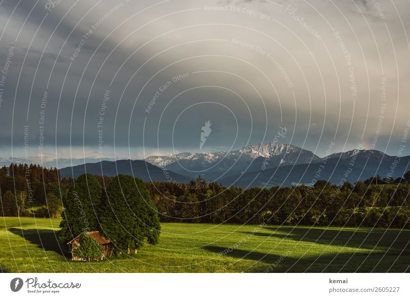 Abendlicht harmonisch Wohlgefühl Zufriedenheit Erholung ruhig Freizeit & Hobby Ferien & Urlaub & Reisen Ausflug Ferne Freiheit Natur Landschaft Himmel Wolken