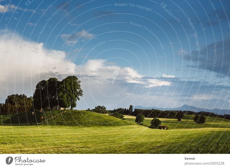 Hügelland harmonisch Wohlgefühl Zufriedenheit Erholung ruhig Freizeit & Hobby Ferien & Urlaub & Reisen Ausflug Abenteuer Freiheit Natur Landschaft Himmel Wolken