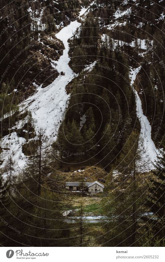 Leben am Berg ruhig Abenteuer Freiheit Natur Landschaft Eis Frost Schnee Baum Wald Hügel Berge u. Gebirge Schweiz Haus Hütte alt authentisch dunkel grün