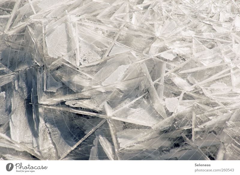 eiskalt Winter Schnee Winterurlaub Umwelt Natur Landschaft Wasser Klima Wetter Eis Frost Linie frieren frisch Farbfoto Außenaufnahme Nahaufnahme Detailaufnahme