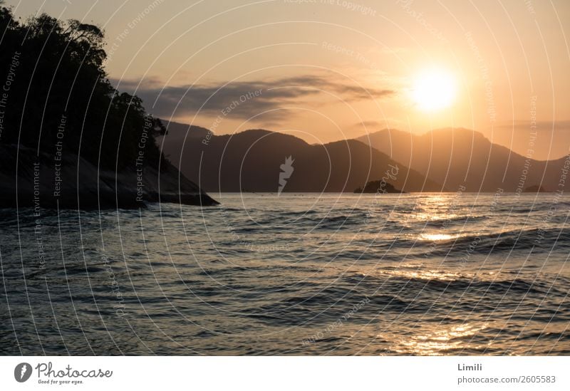 Der Sonne entgegen Ferien & Urlaub & Reisen Tourismus Meer Insel Wellen Berge u. Gebirge Wassersport Segeln Natur Landschaft Pflanze Himmel Horizont