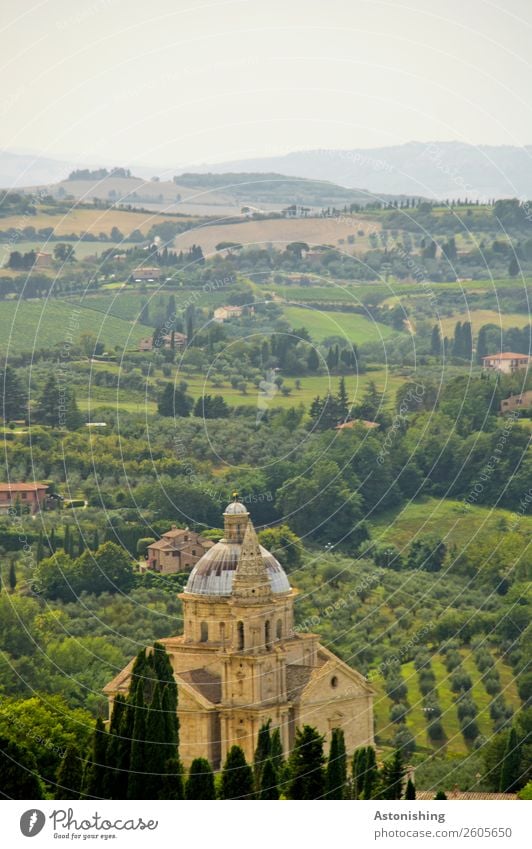 Kirche im Wein Umwelt Natur Landschaft Pflanze Himmel Sommer Wetter Schönes Wetter Baum Sträucher weinpflanze Wiese Feld Hügel Montepulciano Toskana Italien