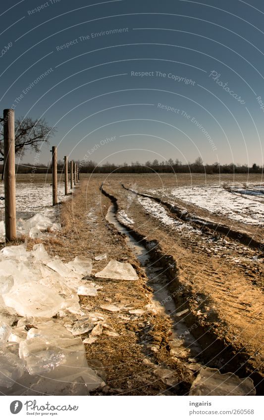 Eiszeit Umwelt Natur Erde Sand Wasser Wolkenloser Himmel Horizont Sonnenlicht Winter Klima Klimawandel Wetter Schönes Wetter Frost Schnee Gras Feld Fußweg kalt