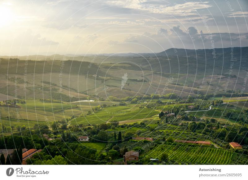 grüne Toskana Umwelt Natur Landschaft Luft Himmel Wolken Horizont Sonnenaufgang Sonnenuntergang Sommer Wetter Schönes Wetter Pflanze Baum Sträucher Wiese Feld