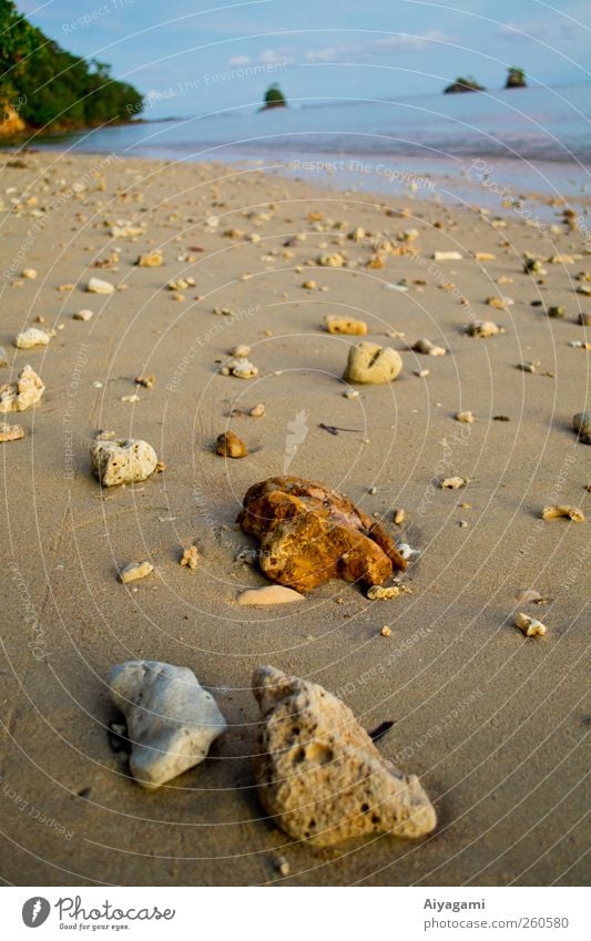 Strand von Bangka Island und Batu Tiga Umwelt Natur Landschaft Sand Wasser Felsen Wellen Küste Meer Pazifik Insel genießen Ferien & Urlaub & Reisen