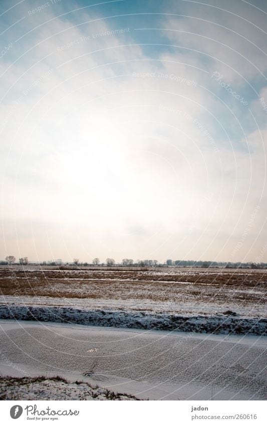 in eisigen zeiten. Winter Landschaft Erde Wasser Himmel Eis Frost Schnee Feld Flussufer bedrohlich kalt braun bizarr Endzeitstimmung Natur Surrealismus Ferne