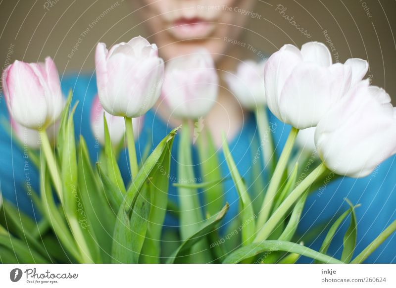 1 Kuss und viele Blumen für Dich! Freude Flirten Valentinstag Muttertag Geburtstag Leben Mund Lippen Mensch Pflanze Frühling Sommer Tulpe Blüte Blumenstrauß