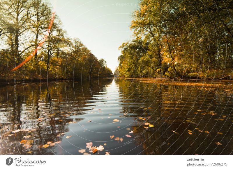 Alter Berlin-Spandauer Schifffahrtskanal Fluss Herbstlaub Kanal Paddeln Rudern See Strömung Teich Wasser Wasseroberfläche wasserwandern spandau Bootsfahrt