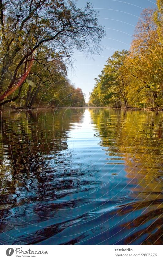 Kanal Fluss Herbstlaub Paddeln Rudern See Strömung Teich Wasser Wasseroberfläche wasserwandern Alter Berlin-Spandauer Schifffahrtskanal spandau Bootsfahrt