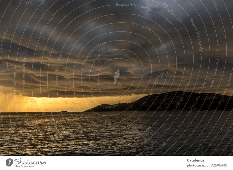 Tiefdruckgebiet an der Küste, gelb leuchtet der Himmel im Abendlicht Natur Landschaft Urelemente Wasser Gewitterwolken Horizont Sonnenaufgang Sonnenuntergang