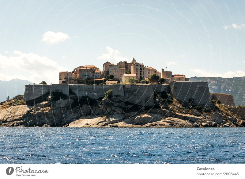 Calvi Ferien & Urlaub & Reisen Tourismus Umwelt Wasser Sommer Schönes Wetter Hügel Felsen Wellen Küste Meer Mittelmeer Dorf Altstadt Haus Kirche