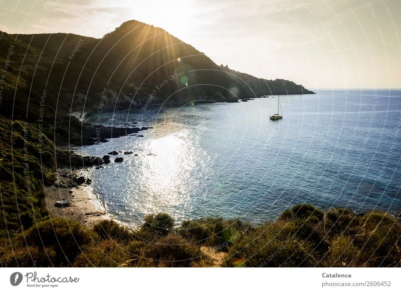 Sommerabend an der Bucht mit Segelyacht vor Anker Sommerurlaub Strand Meer Wellen Berge u. Gebirge wandern Landschaft Urelemente Wasser Schönes Wetter Baum