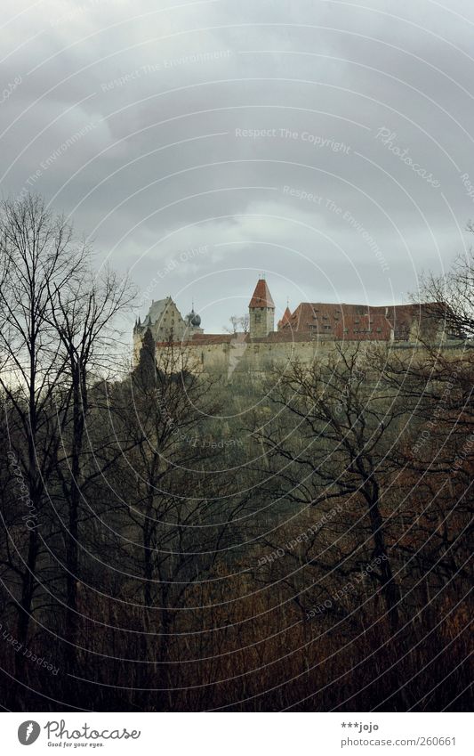 rainy skies. historisch Burg oder Schloss Veste Coburg Mittelalter Ritterburg Historische Bauten Festung Wald Baum trüb Regen Regenwasser grau schlechtes Wetter