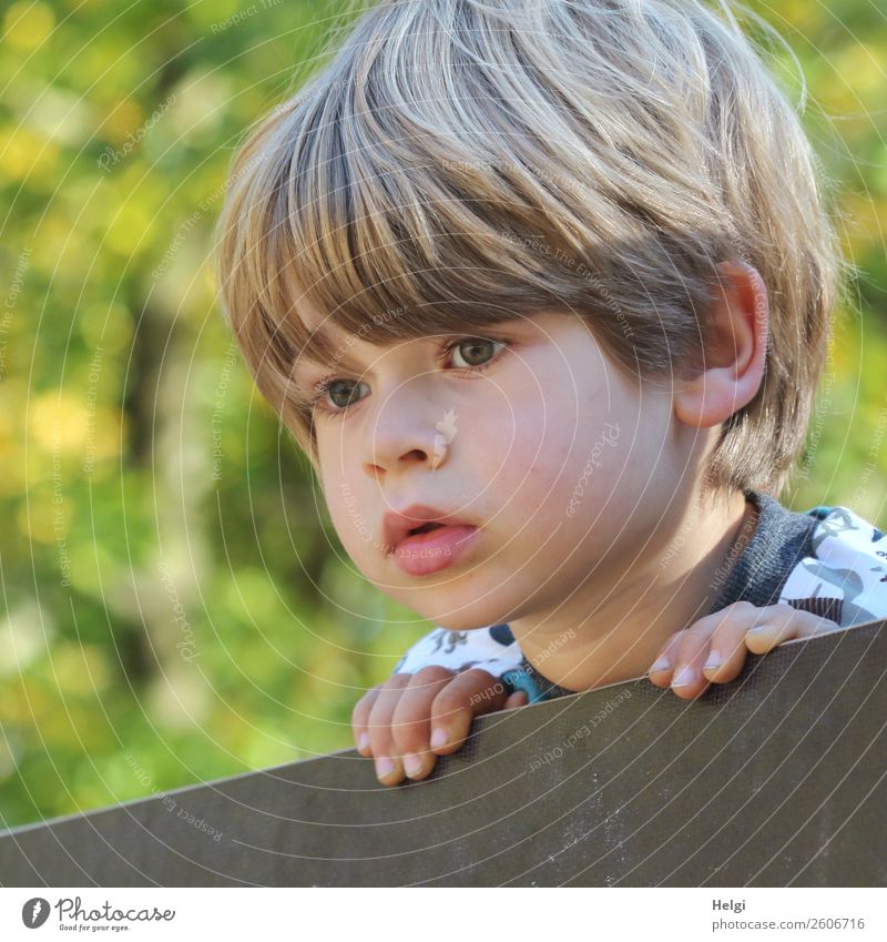 Porträt eines kleinen Jungen, der aufmerksam über einen Zaun schaut Mensch maskulin Kind Kindheit Kopf Haare & Frisuren Gesicht Finger 1 3-8 Jahre beobachten