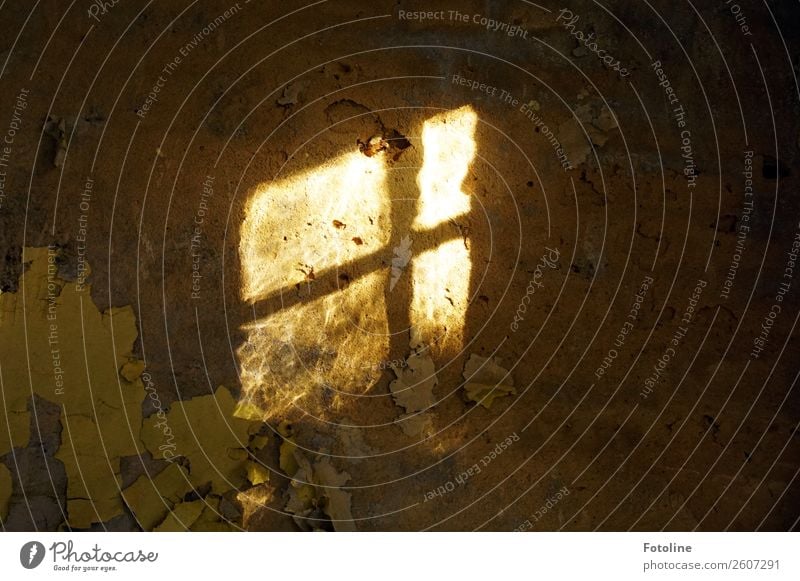 Kellerfenster Haus Bauwerk Gebäude Architektur Mauer Wand Fenster dunkel hell Putz Fensterkreuz Lichterscheinung leuchten verfallen Verfall Farbfoto