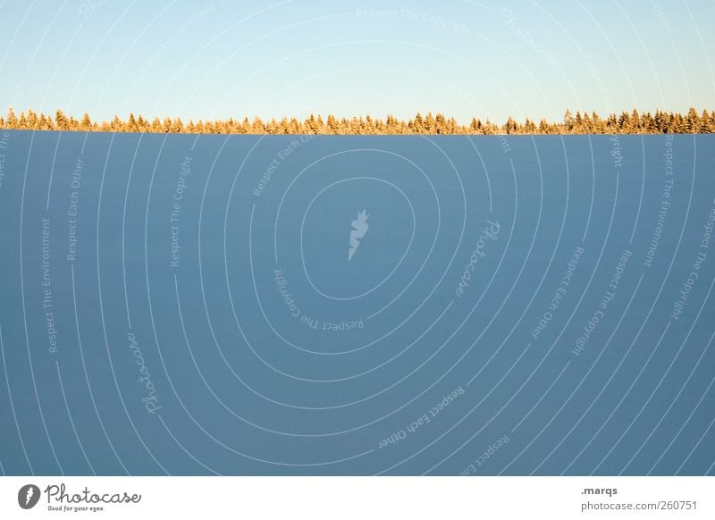 Tellerrand Winter Winterurlaub Umwelt Natur Klima Klimawandel Schönes Wetter Baum kalt Horizont Perspektive Schwarzwald Farbfoto Textfreiraum oben