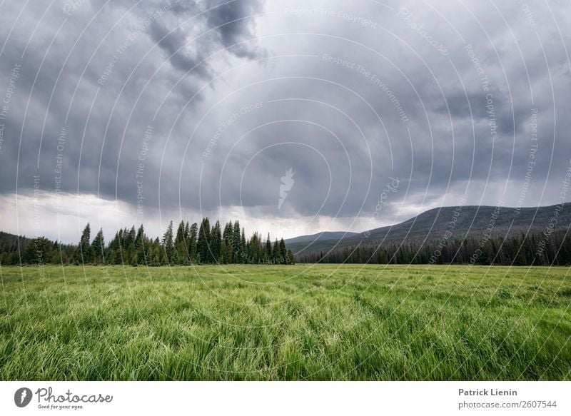 Rainy afternoon Sinnesorgane Erholung ruhig Tourismus Ausflug Abenteuer Ferne Freiheit Camping Berge u. Gebirge wandern Umwelt Natur Landschaft Himmel Wolken