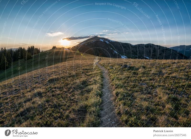 Abendwanderung Zufriedenheit Sinnesorgane Erholung Ausflug Abenteuer Ferne Camping Berge u. Gebirge wandern Umwelt Natur Landschaft Sommer Klima Klimawandel