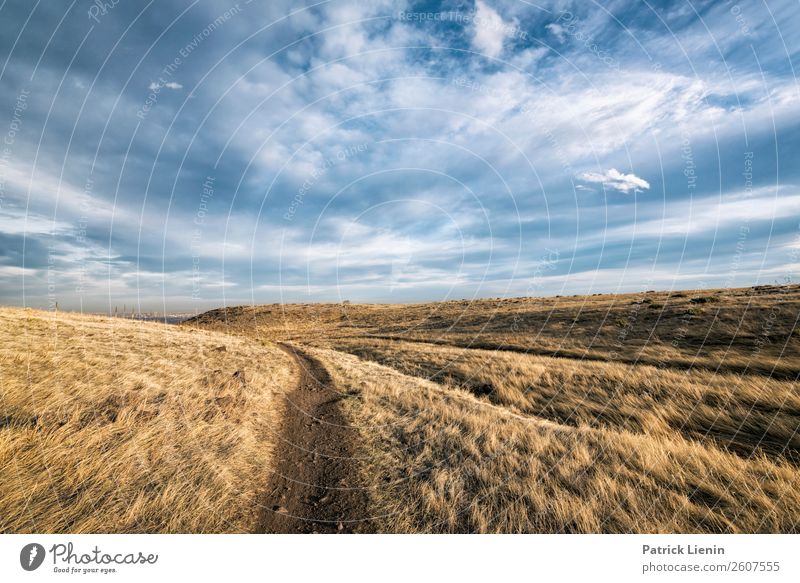 Einbahnstrasse Ferien & Urlaub & Reisen Ferne Freiheit Camping wandern Umwelt Natur Landschaft Urelemente Erde Luft Himmel Wolken Herbst Klima Klimawandel