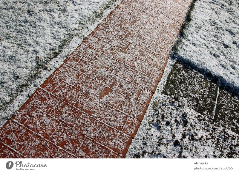 Wege und Pfade Eis Frost Schnee Garten Wiese Wege & Pfade Wegkreuzung Pflastersteine Pflasterweg Stein Linie kalt Einsamkeit Perspektive Dreieck Farbfoto